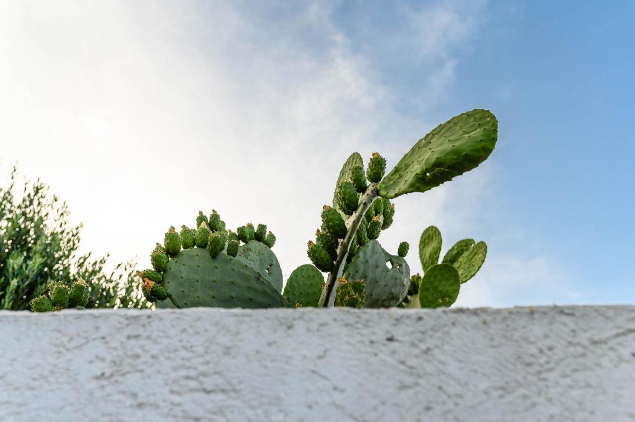 Charming Villas - Villa D'Itria With Trullo Ostuni Exterior foto